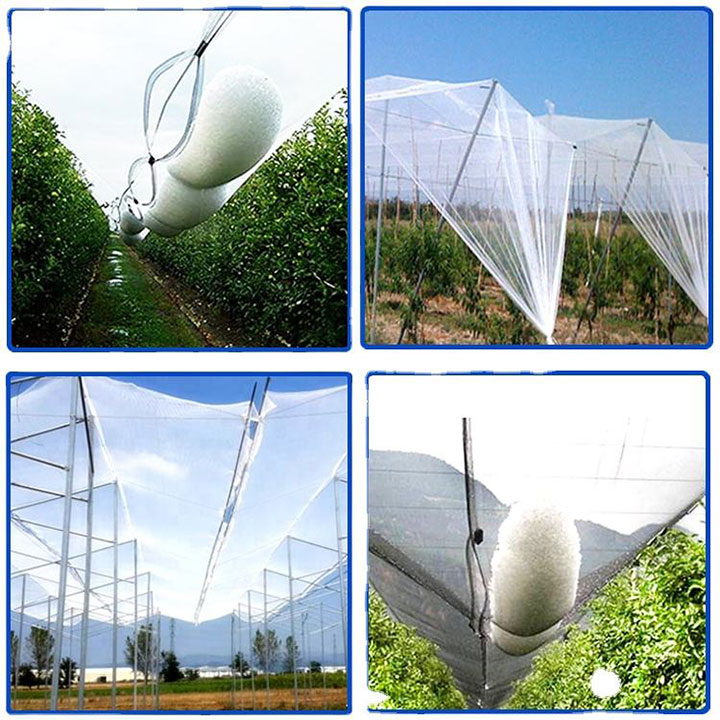 Fruit Tree Plastic Netting Haelbeskerming Anti-Hael Net